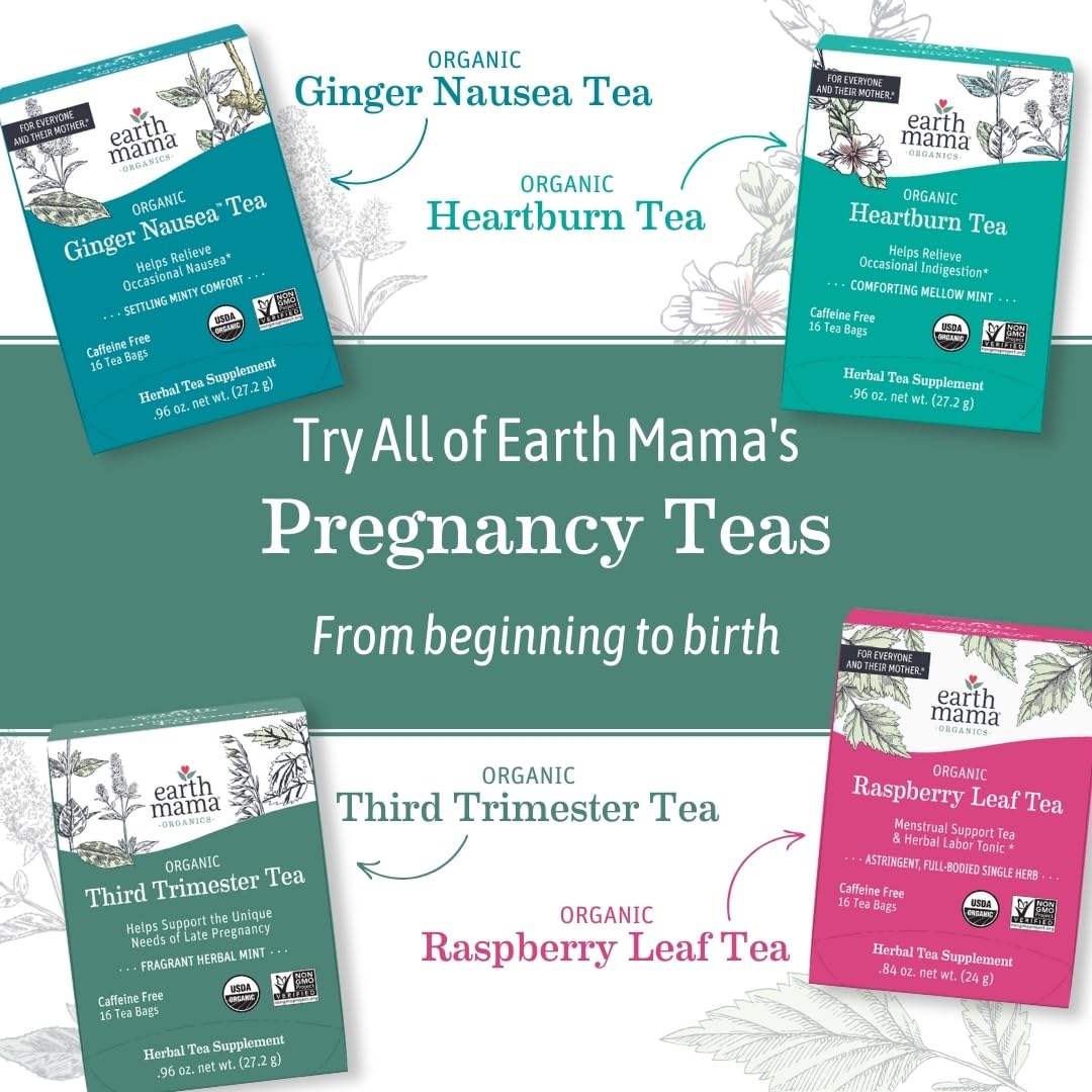 Earth Mama Organic Heartburn Tea | Pregnancy-Safe Soothing Herbal Blend with Marshmallow Root, Lemon Balm & Chamomile, 16 Teabags Per Box