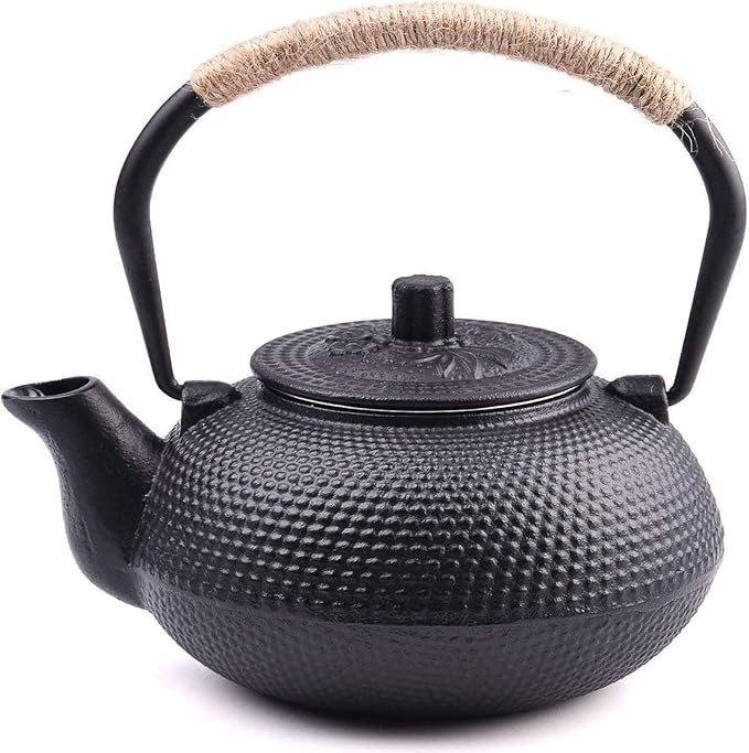 suyika Japanese Tetsubin Cast Iron Teapot Tea Kettle pot with Stainless Steel Infuser for Stovetop S