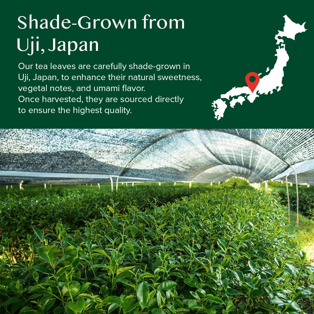 VAHDAM, Japanese Vanilla Matcha Green Tea Powder (50g) Sourced from Japan | Premium Matcha Powder With Pure Vanilla | Brew Delicious Matcha Latte