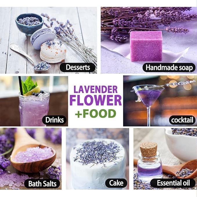 Tian HU Shan Dried Lavender Flower Buds, Culinary Food Grade for Baking, Fresh Fragrance, 4 Ounce, Caffeine Free Suger Free Vegan Herbal Tea