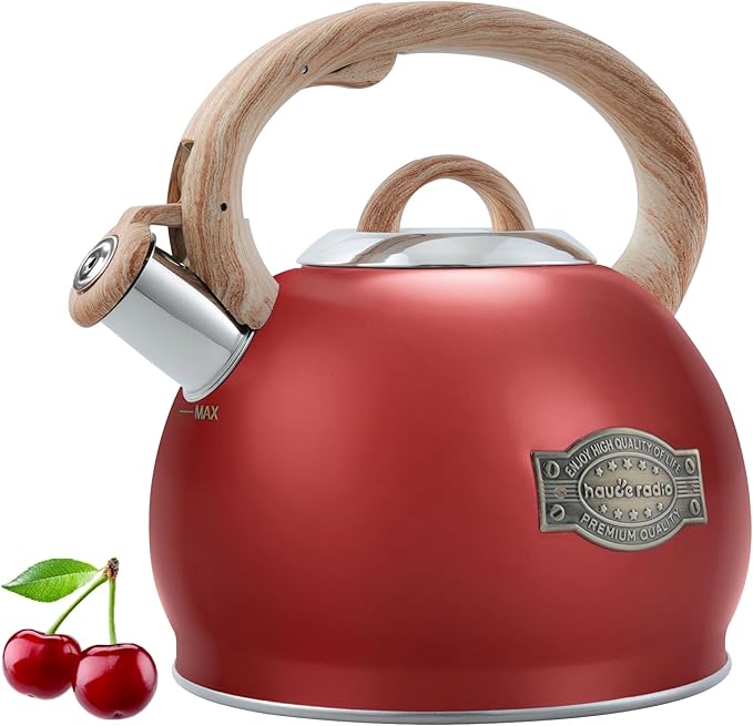 Tea Kettle Stovetops, 2.7 Quart Food Grade Stainless Steel Water kettles for Stove Top Teatop with Anti-hot Ergonomic Handle