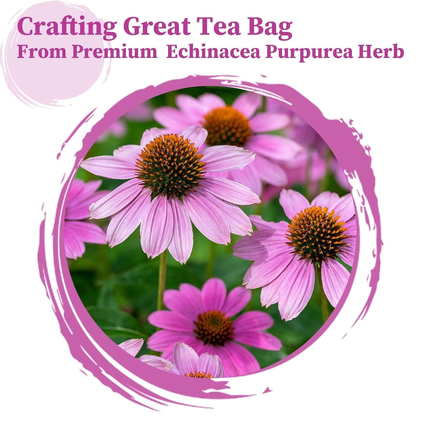 FullChea - Echinacea Tea Bags, 50 Count Dried Echinacea Purpurea Tea | Pure echinacea herbal tea with natural plant antioxidants, Non-GMO caffeine-free,easy to brew hot daily