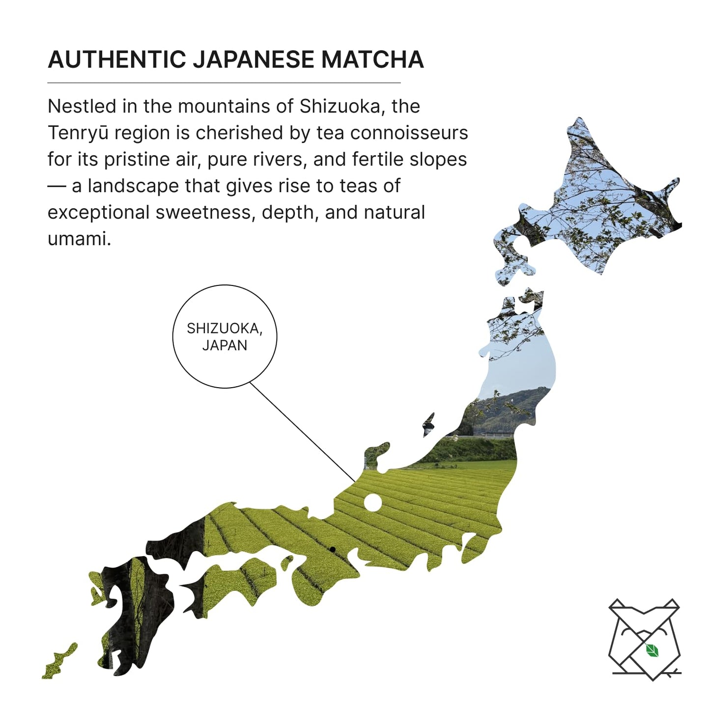 FKRO Organic Saemidori Ceremonial Grade Matcha Green Tea Powder | Single Cultivar 1st Harvest | Stone-Ground, Air-Flown Monthly from Japan | 30g Tin