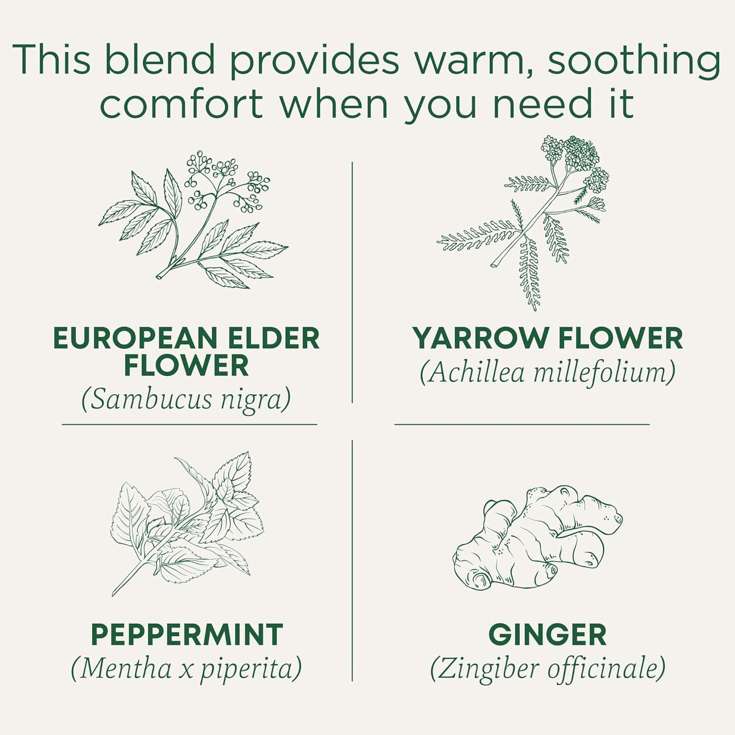 Traditional Medicinals Tea, Herbal Cold Care Seasonal Tea with Elderflower Spice, Kosher, Non-GMO, Caffeine-Free, Compostable - 96 Tea Bags (6 Pack)