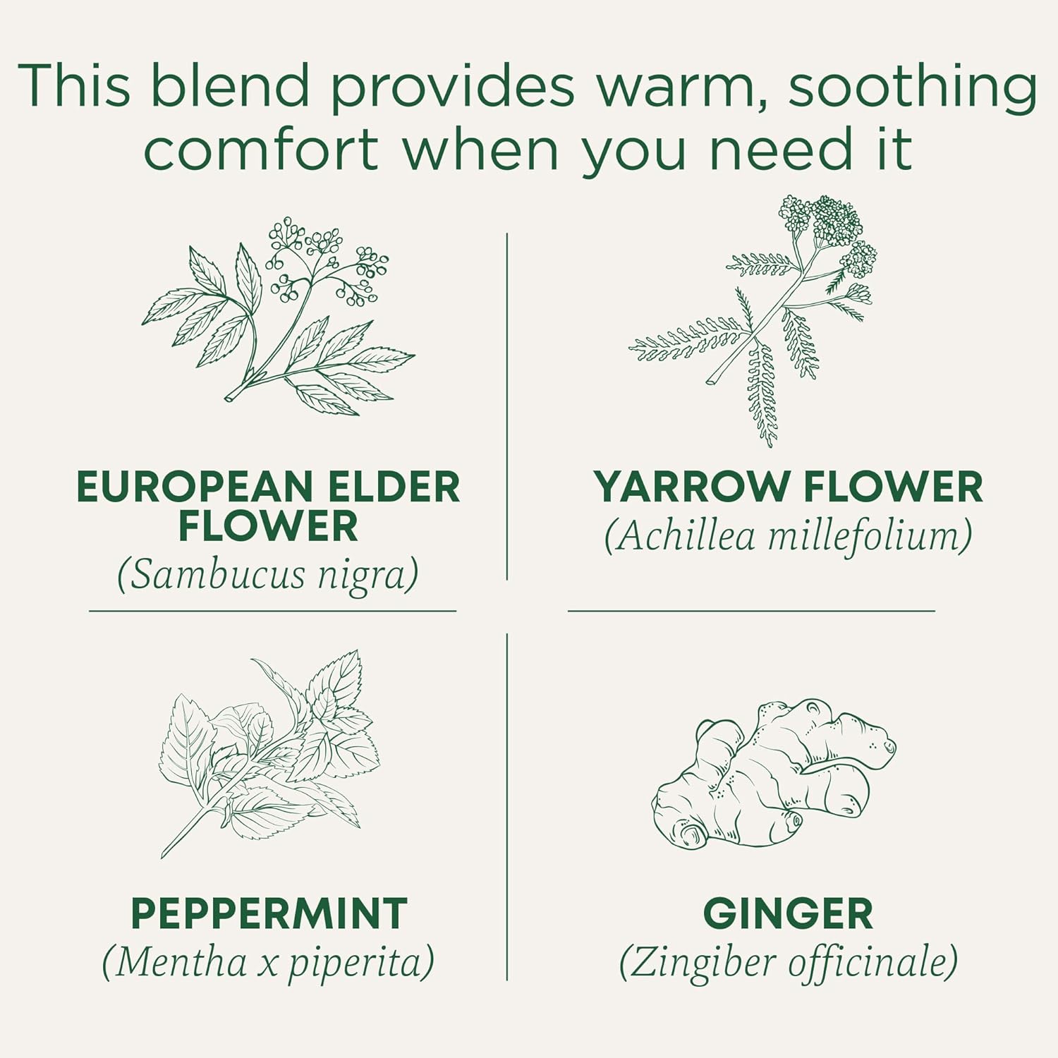 Traditional Medicinals Tea, Herbal Cold Care Seasonal Tea with Elderflower Spice, Kosher, Non-GMO, Caffeine-Free, Compostable - 96 Tea Bags (6 Pack)