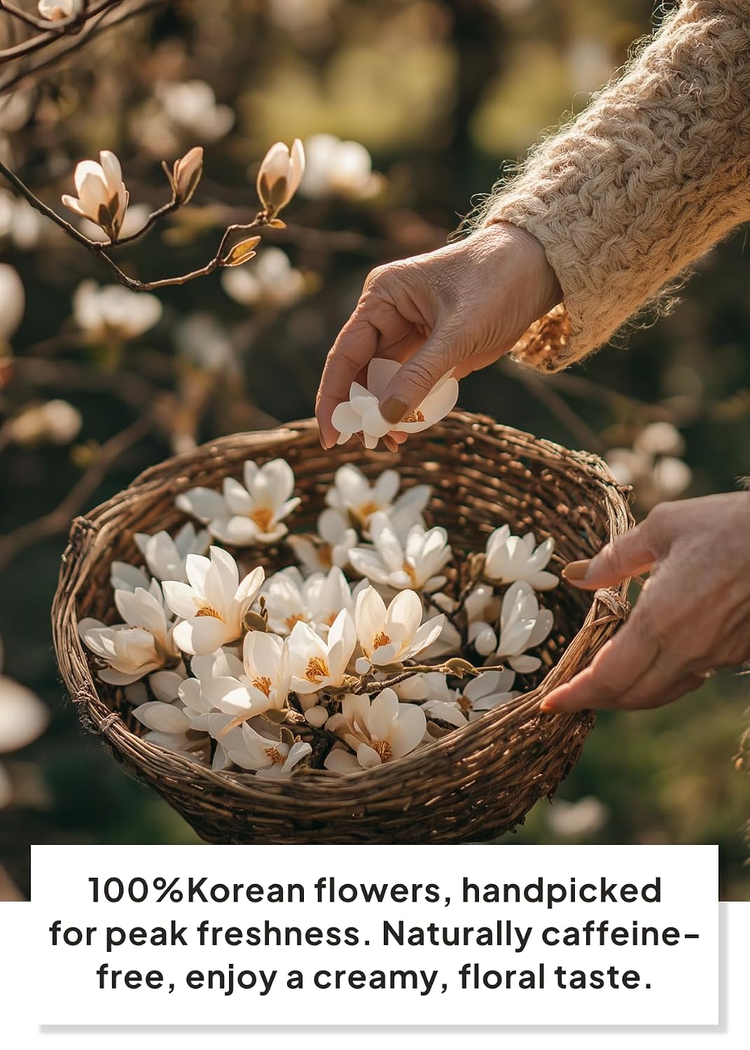 Korean Food KKOKDAM Magnolia Flower Tea, Decaf Floral Blend Sugar Free, 10g
