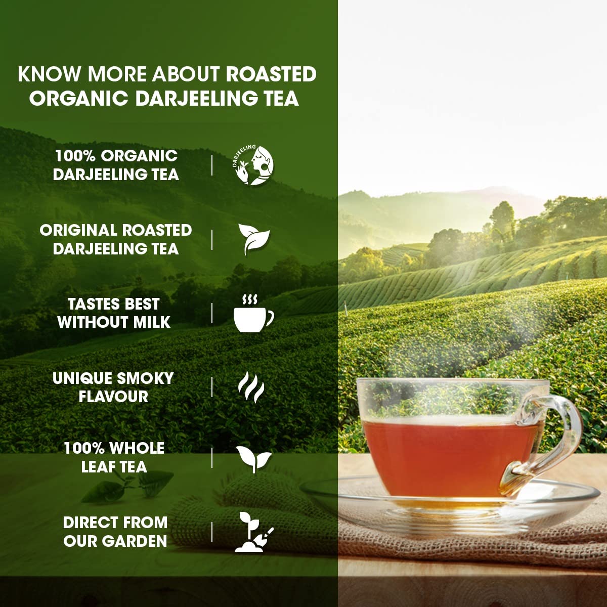 GOODRICKE Roasted Organic Darjeeling Tea - 250 gm (Pack Of 3) | 100% Pure & Natural Whole Leaf | Flavoury Golden Orange Pekoe | Black Tea