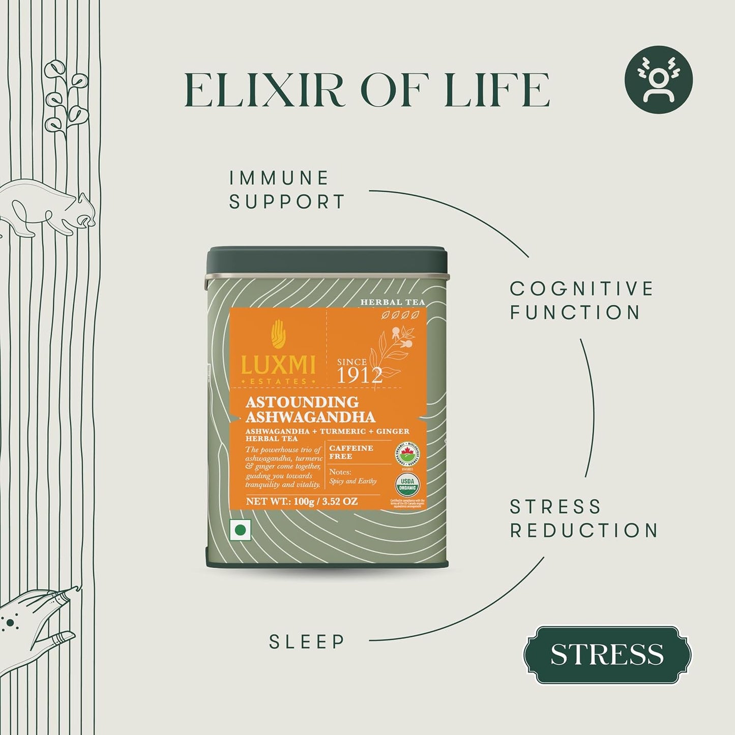 Luxmi Estates Ashwagandha Turmeric Tea | Organic Loose Leaf, 100g/3.5oz, (50 Cups) | Herbal Blend with Ashwagandha, Turmeric, Ginger, Lemongrass | Caffeine-Free