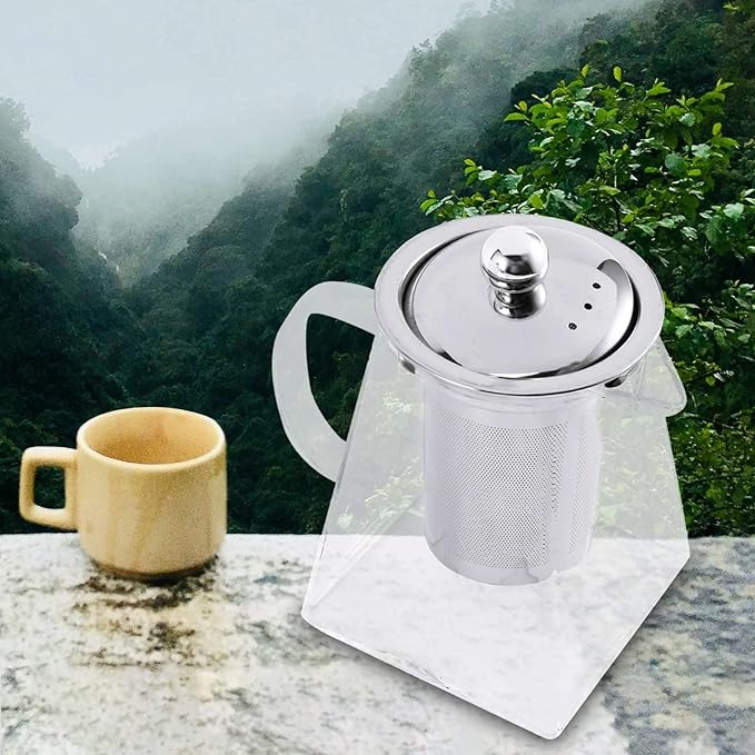 Square Glass Teapot with Infuser, 550 Ml Borosilicate Tea Pot with Strainer, Clear Leaf Tea Pots for Loose Tea