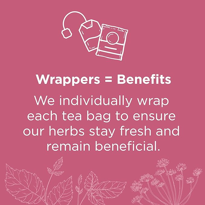 Traditional Medicinals Organic Raspberry Leaf Herbal Tea - 48 Tea Bags