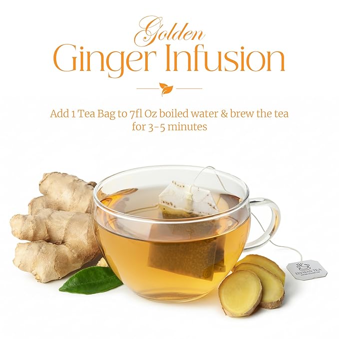 50 PACK Ginger-Turmeric Tea Bags – Individual Wrapped Tea Bags – All Natural Herbal Tea | Caffeine Free | No Preservatives, No Sugar – Great For All Seasons