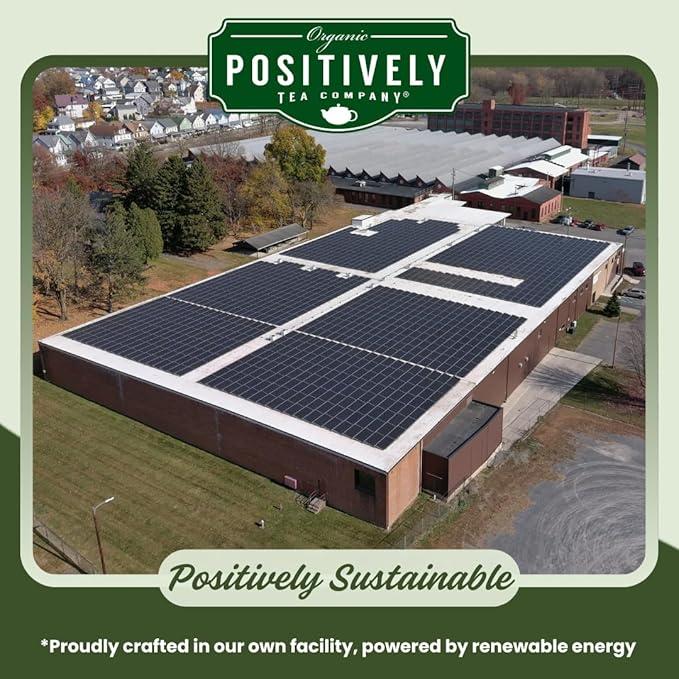 Organic Positively Tea Company, Strawberries and Cream Green Tea, K-Cup Compatible, 24 Pods