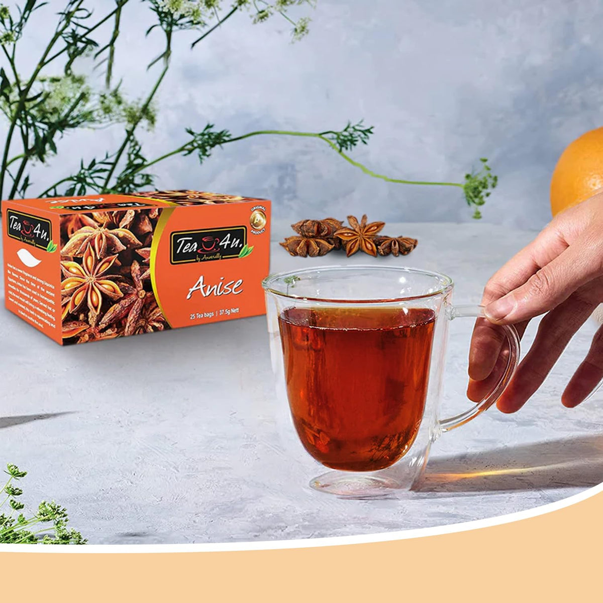 TEA 4U. BY ANVERALLY Tea4U Anise Herbal Infusion Tea Bags - Caffeine Free Blend - 25 Count