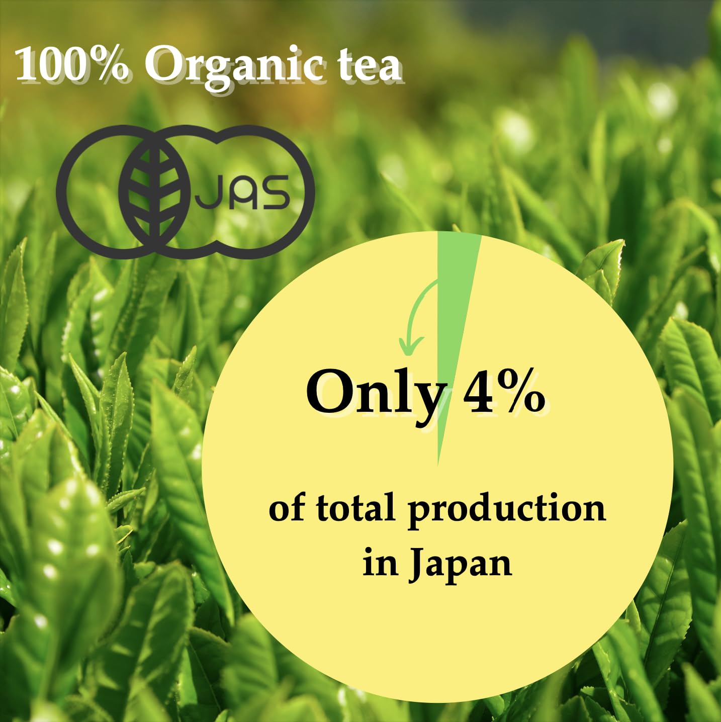 NAGOMI Organic Fukamushi Sencha - Loose Leaf Japanese Deep Steamed Green Tea, 70g/2.47oz.