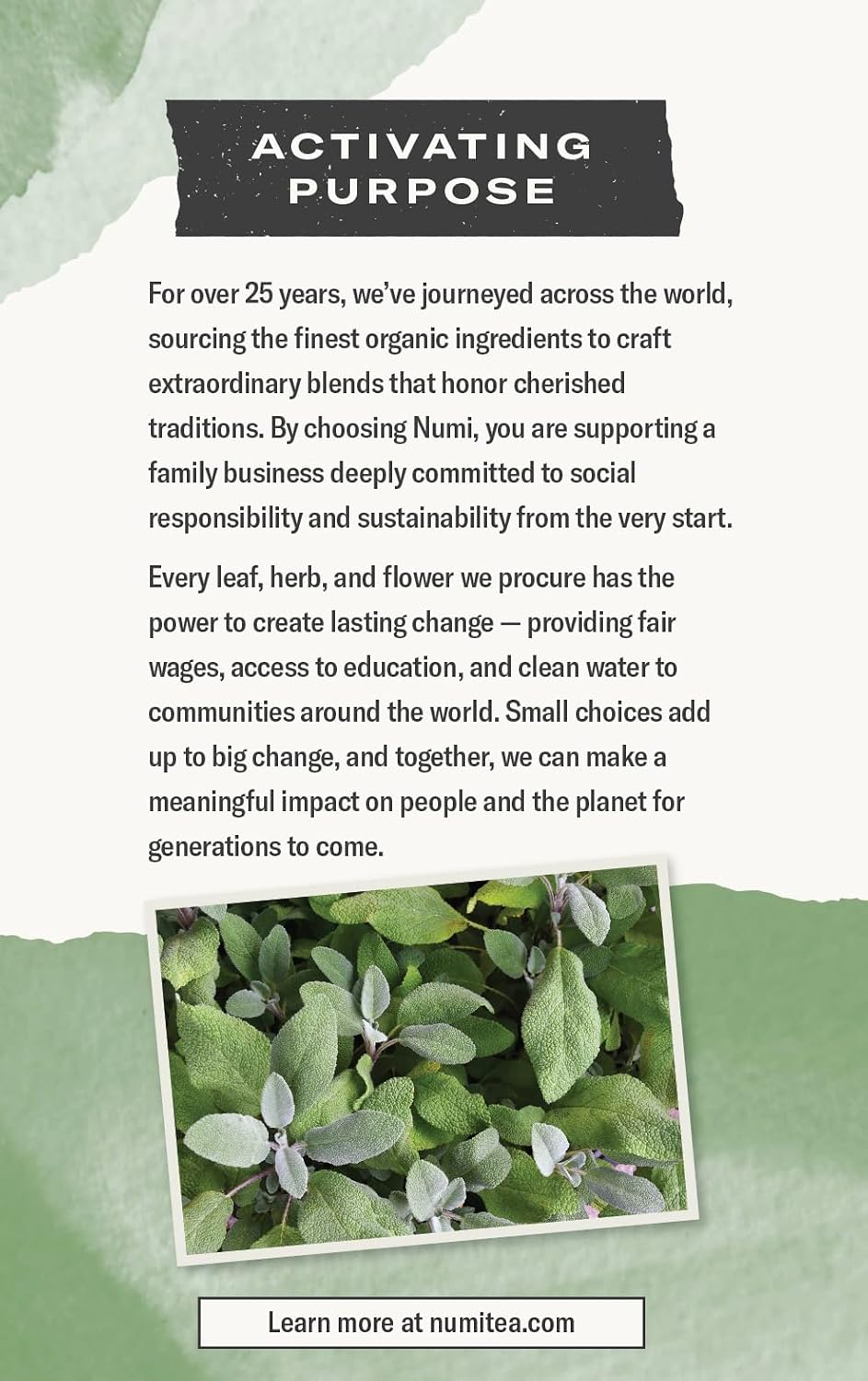 Numi Organic Throat Soother Tea