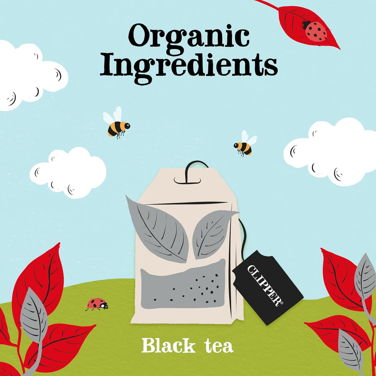 Clipper Organic English Breakfast Tea