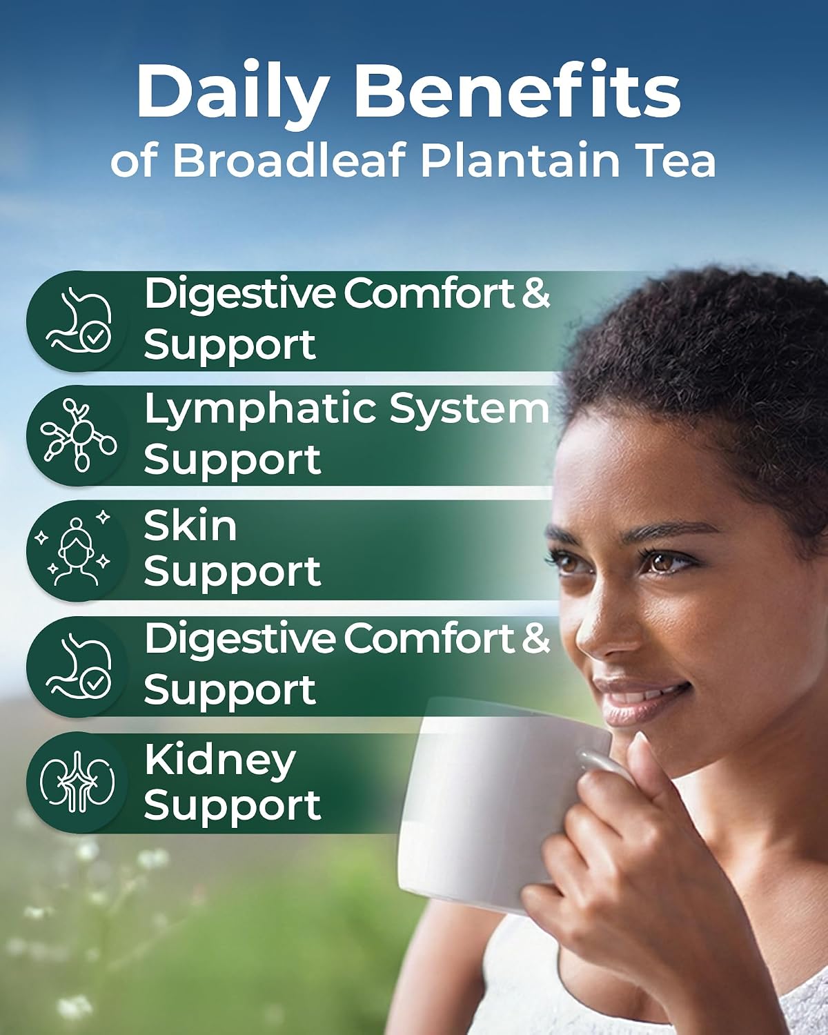 50 Bags Broadleaf Plantain Leaf Herb Tea (Plantago Majoris Folia) Plantain Leaves Tea - 50 Count 1.5 g Bags Llanten