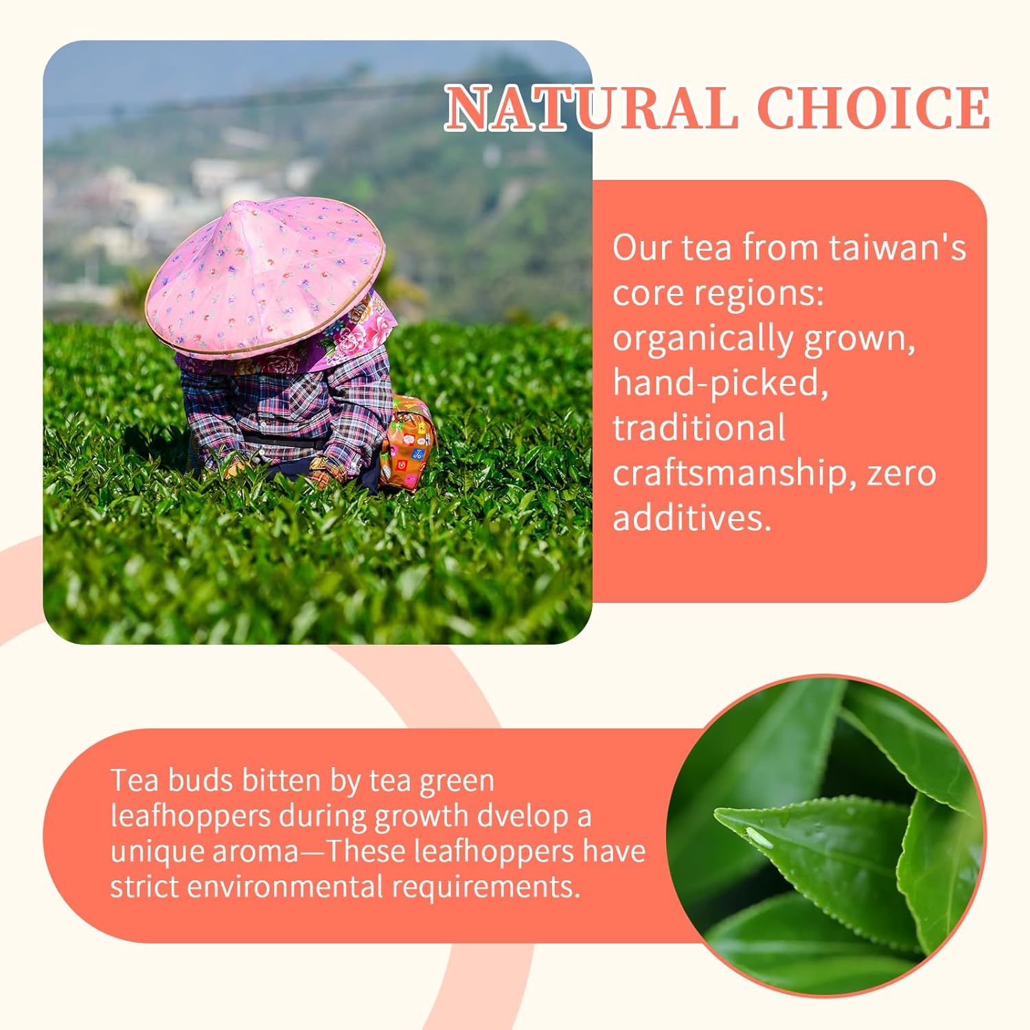 CHADUO Oriental Beauty Tea Taiwan Oriental Beauty Oolong Tea Loose Leaf White Tip Oolong Taiwan Origin Ripe Fruity & Floral Aromas 3.53oz/100g 东方美人茶 台湾茶 白毫乌龙茶