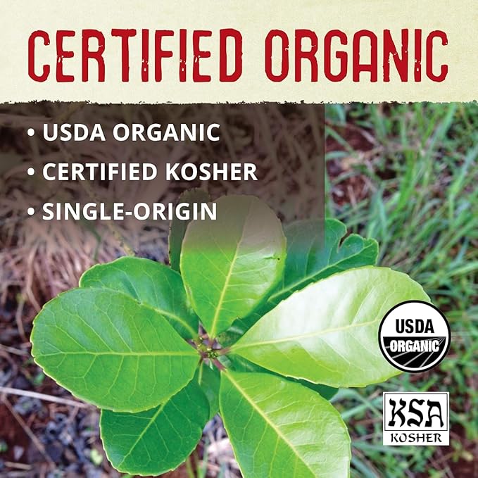 Ecoteas Premium Organic Yerba Mate Tea Bags – Natural Energy & Detox Herbal Tea – Coffee Alternative - Kosher, Non-GMO, Gluten-Free