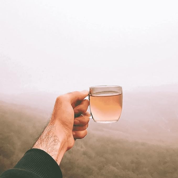 Focus Tea, Loose Herbal Tea for Concentration & Alertness, Sage, Peppermint, Rosemary, 100% Wild Crafted, Caffeine Free, Natural, Earthy Flavor