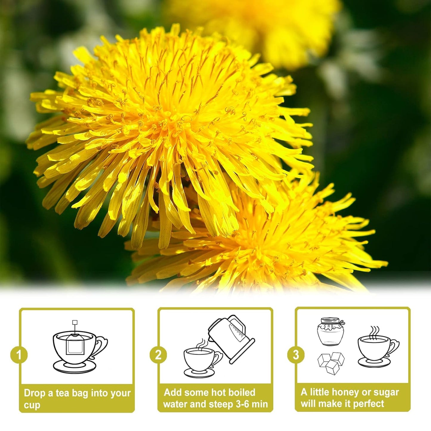 TEARELAE - Dandelion Root Tea Bags, 50 Count, Raw Dandelion Root Tea | Mellow earthy and slightly bitter flavor, caffeine-free, enjoyed after meals for daily wellness
