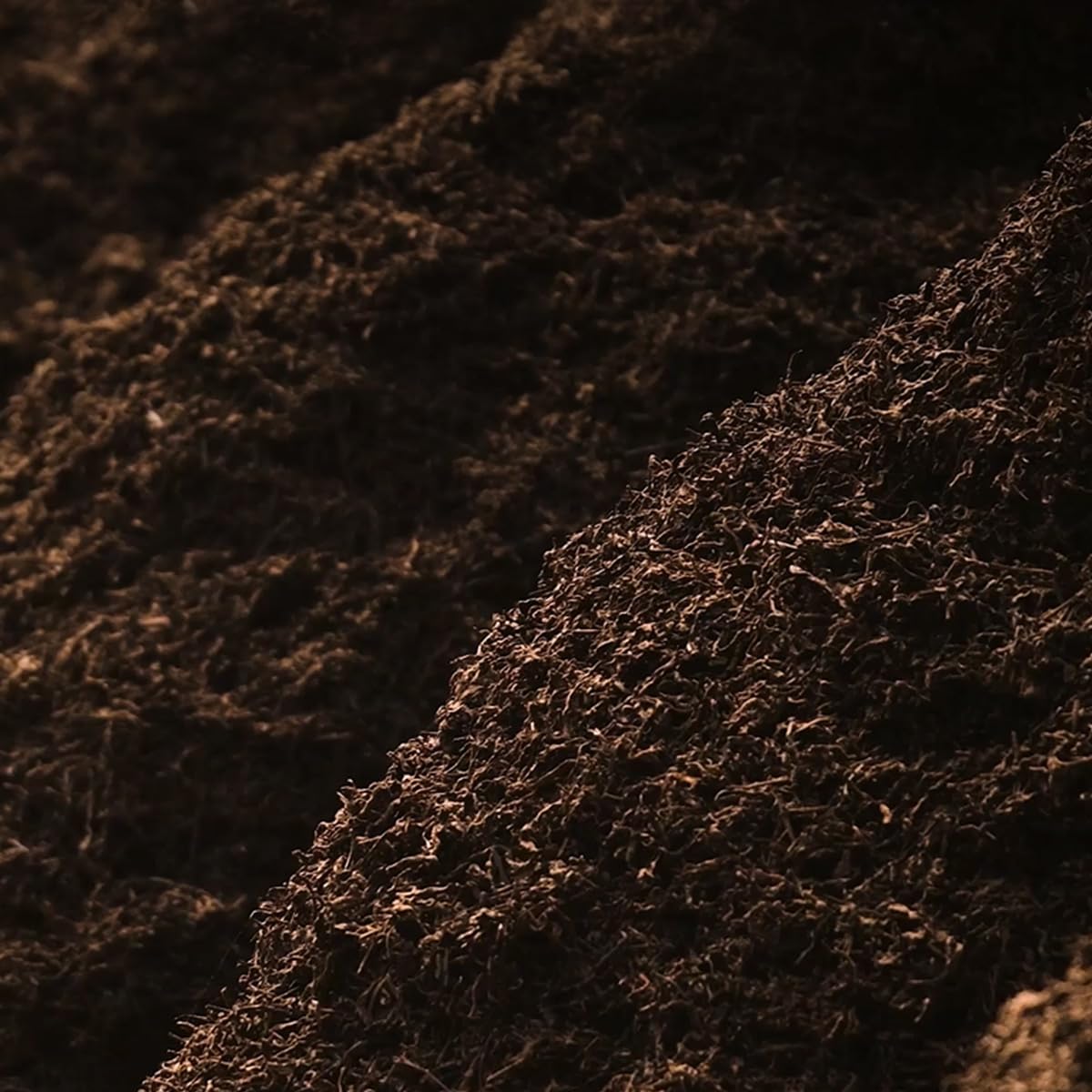 Bamatea Ripe Pu'erh Tea from Yunnan, China | 2021 Aged Black Tea Loose Leaf | 24 Count Individual Pack | 72g (2.54oz) for Premium Brewing