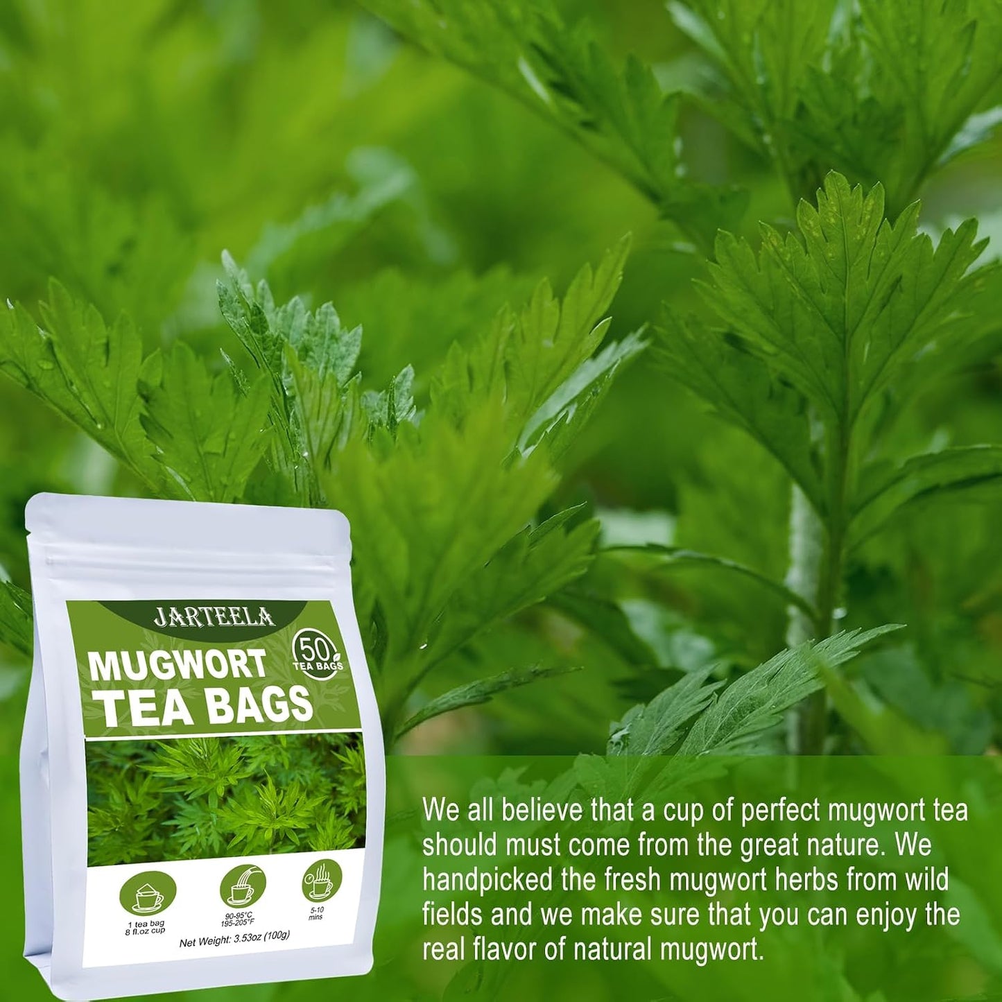 Jarteela - Mugwort Tea Bags, 50 Count, Dried Mugwort Herb Teabags | 100% pure mugwort herb, caffeine-free and Non-GMO. Earthy and smooth, ideal for daily hot or iced artemisia tea.