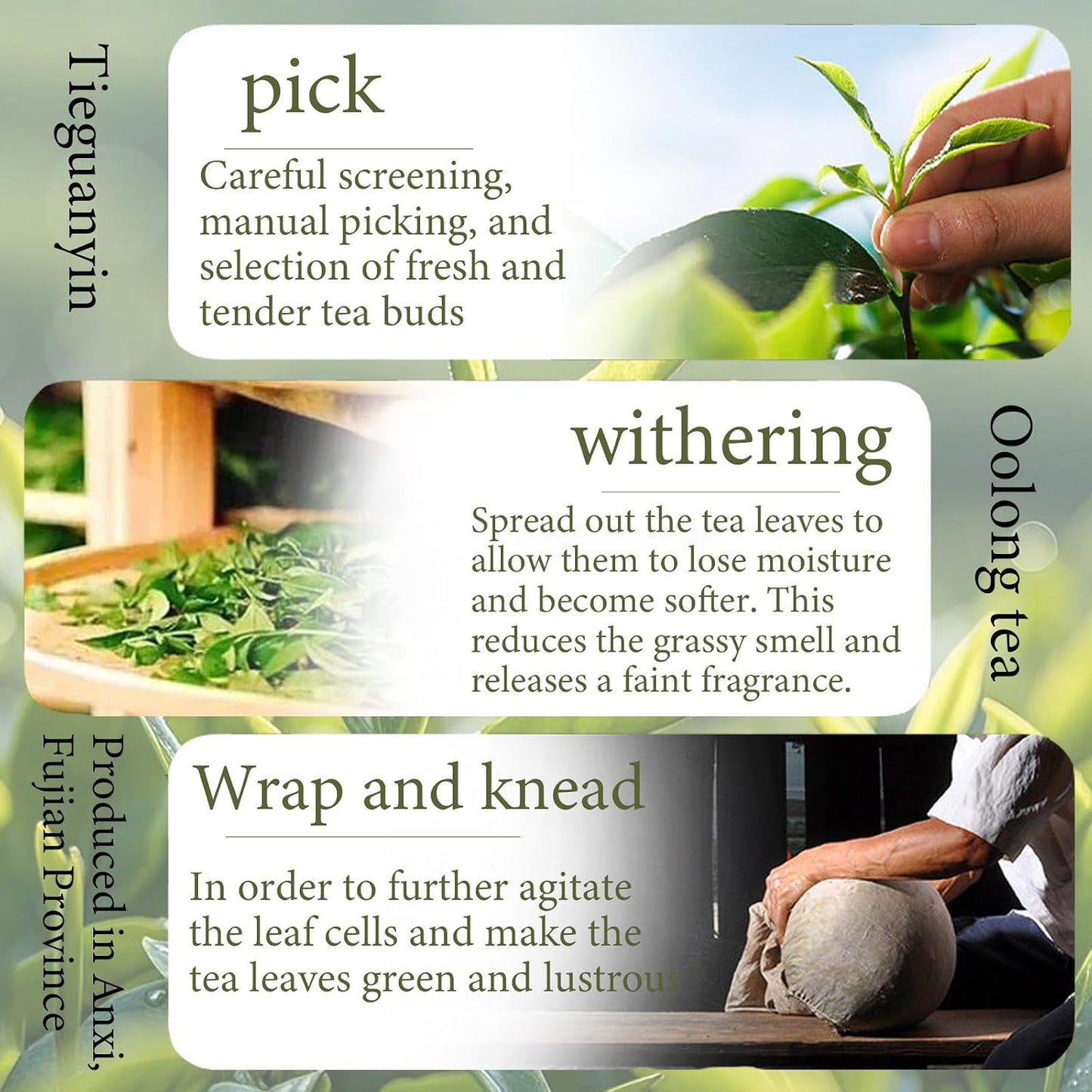 Lingyunxi Tieguanyin Oolong Tea Loose Leaf Tie Guan Yin Tea Tieguanyin Tea Iron Goddess High Mountain Oolong Tea Gaoshan Ulong Tea , Fresh Fragrance Type , 25% Fermentation Degree 铁观音 铁观音茶 清香型 乌龙茶 5.3oz/150g