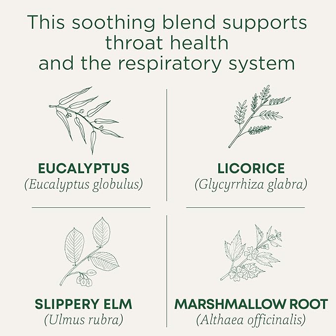 Traditional Medicinals Tea, Organic Throat Coat Eucalyptus, 96 Tea Bags (6 Pack)