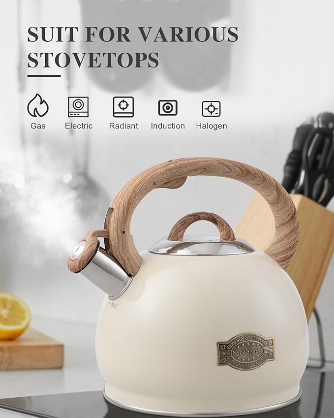 Tea Kettle Stovetop,2.7QT Stainless Steel Whistling Teapot for Stove Top Aesthetic,Portable Water Kettles Camping with Anti-hot Silicone Handle