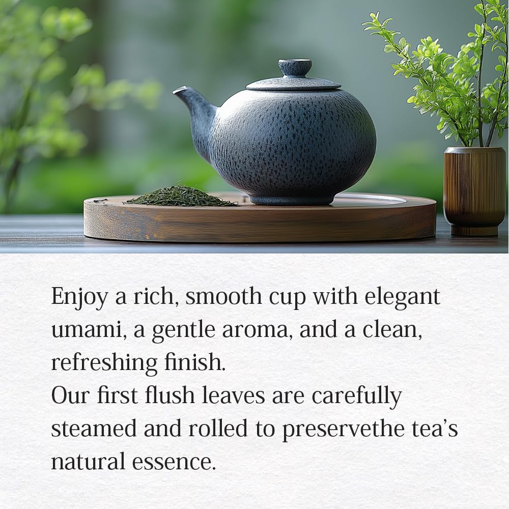 Premium Uji Sencha Green Tea – Authentic Japanese Loose Leaf Tea from Kyoto, 1.41 oz (40g) Tin – Freshly Harvested, Aromatic & Smooth Japanese food