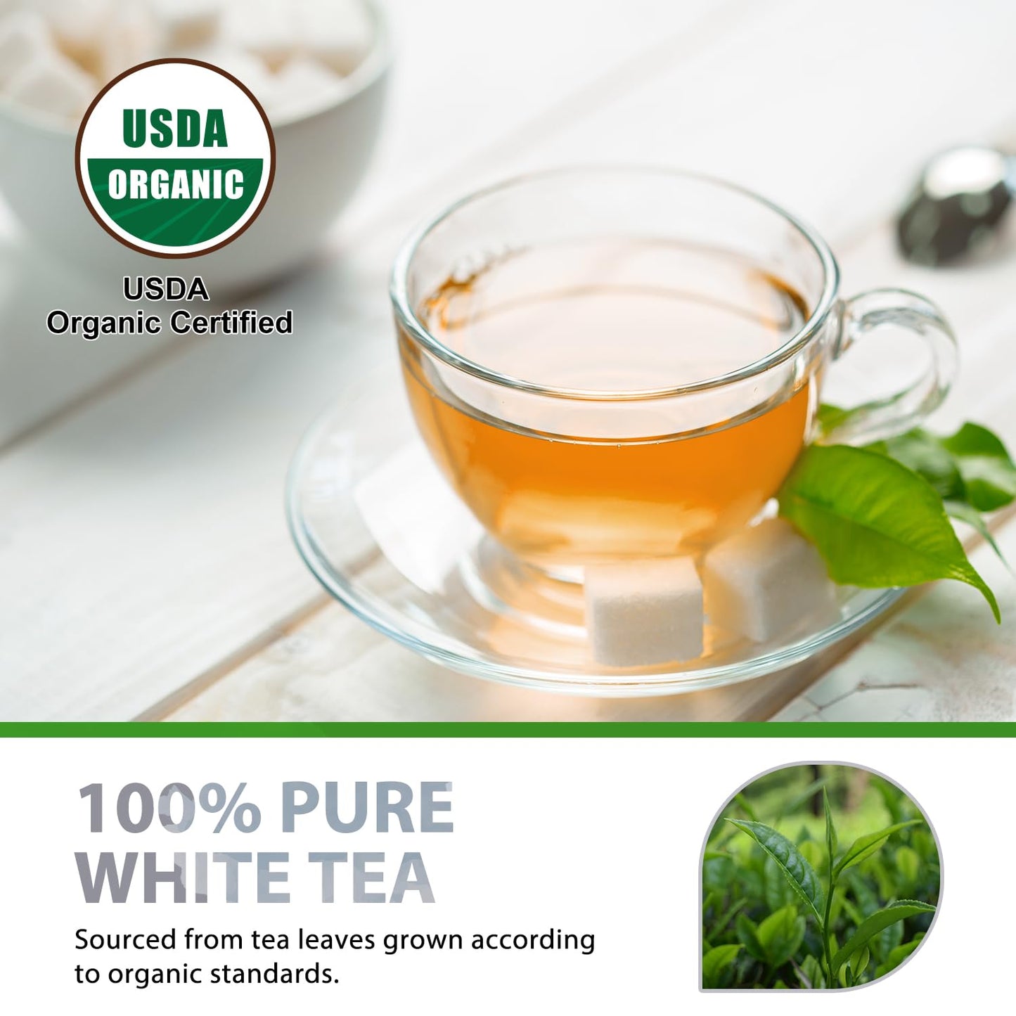 Soeos Organic White Tea, 100 Tea Bags, Pack of 2, Total 200 Teabags, Individually Wrapped Teabags, Low Caffeine, Subtle Floral Aroma &amp; Smooth Taste, Quality Tea for Everyday Brewing, Perfect for Hot or Iced Tea Lovers, 6.3oz (180g) of Each