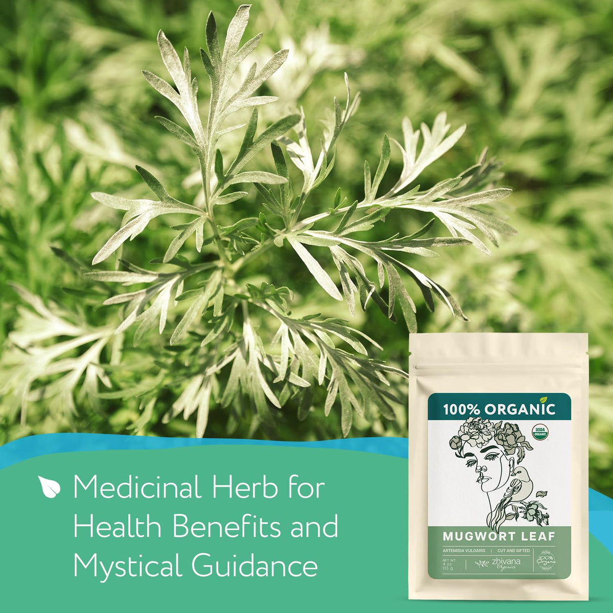 Mugwort Tea Organic Loose Leaf (4oz) - Artemisia Hierba Seca Organica