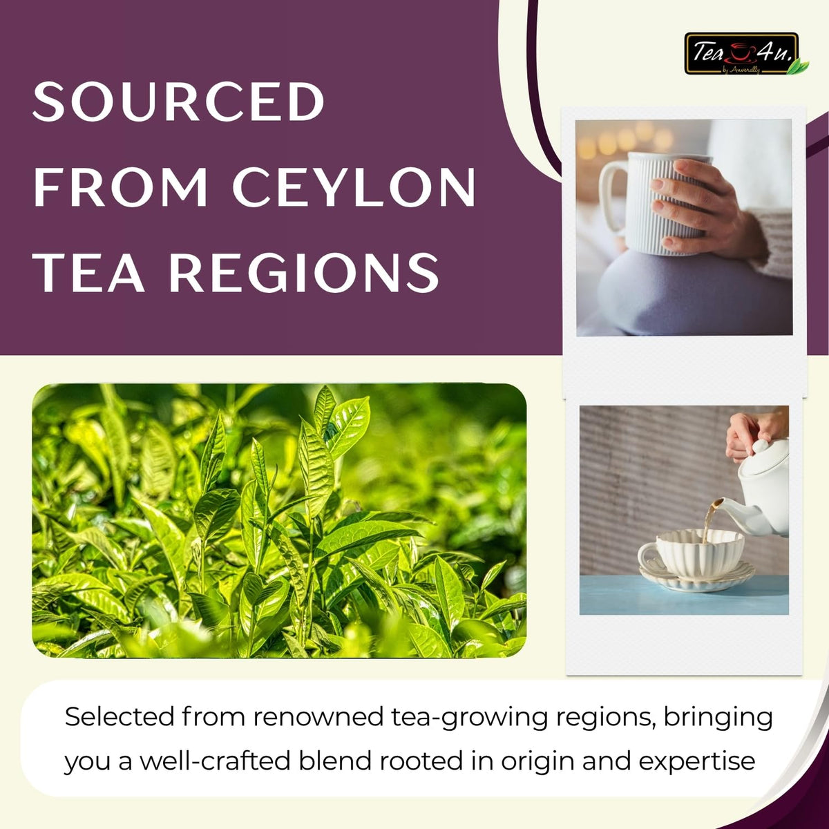 Tea4U Black Currant Flavored Ceylon Tea Bags - Fruity Blend - 25 Count