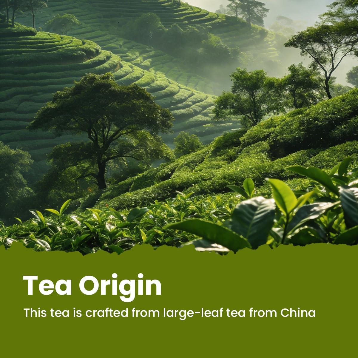 Chayan Yunnan Kung Fu Black Tea Loose Leaf, Authentic Smooth &amp; Rich Ancient Chinese Tea, Premium Loose Leaf Black Tea for Morning Energy, Fast Hot Brew or 8-Min Cold Brew, 1.76 oz (50g) Tin