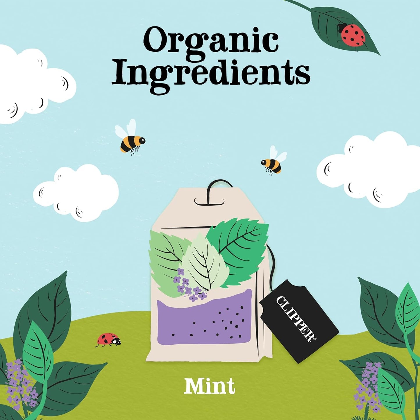 Clipper Organic Mint Herbal Tea, 4 Pack / 200 Tea Bags | Naturally caffeine free herbal tea in unbleached tea bags, USDA Organic, Non-GMO approved