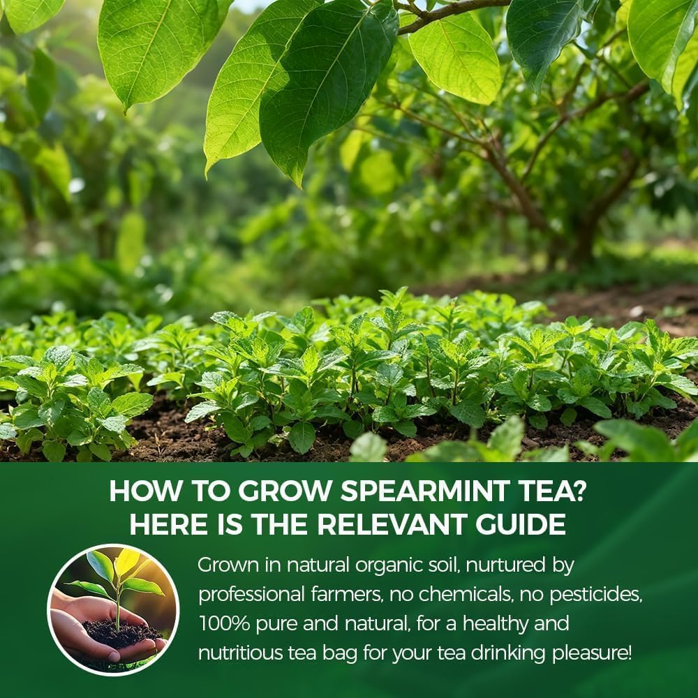 WOTIHA 80 Count Premium Spearmint Tea Bags - 100% Pure Natural Spearmint Leaves, High in Antioxidants, Supports Digestion, Caffeine-Free, Additive-Free, Sugar-Free, Vegan Non-GMO.