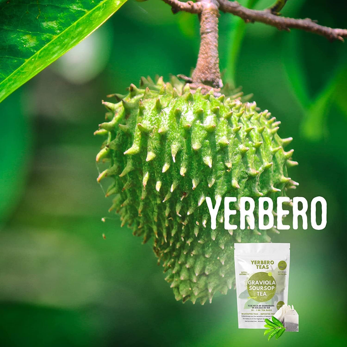 Yerbero - Whole Dried Graviola Soursop Leaves (4 oz - 330+ Leaves Per Bag) Hoja De Guanabana, 100% All Natural Delicious