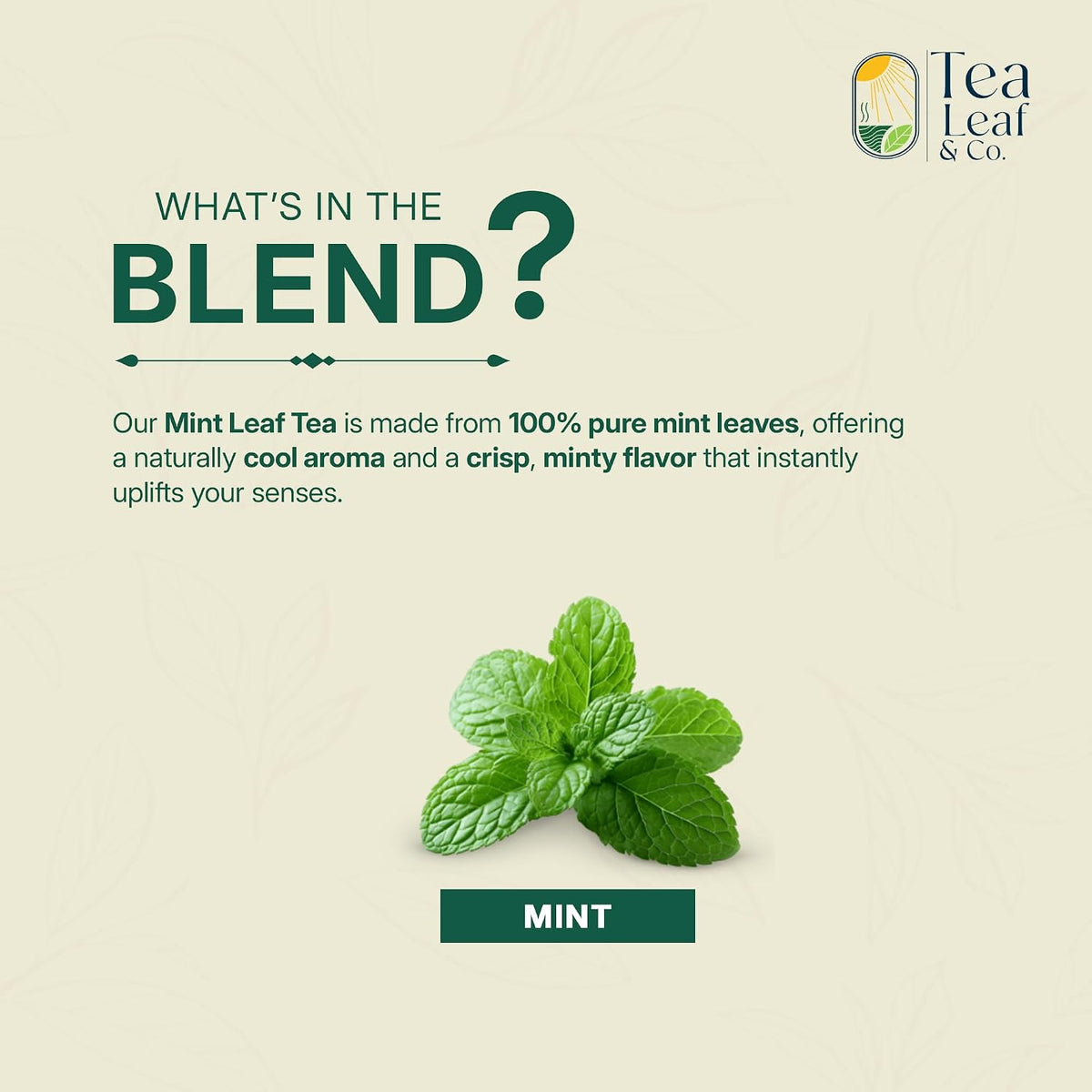 Pure Mint Herbal Tea (200 gm/7 oz)