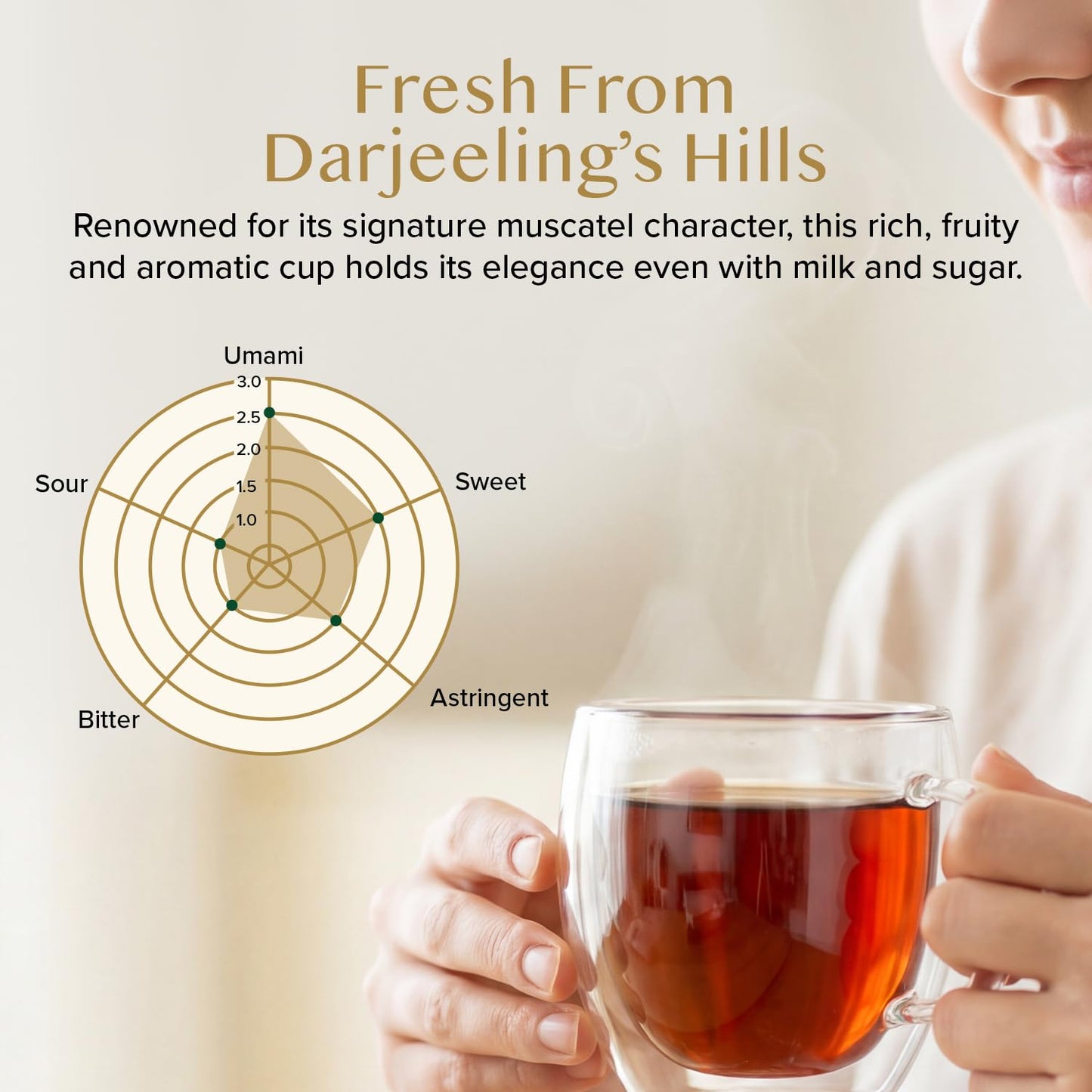 VAHDAM Muscatel Darjeeling Tea(3.53oz|50+ Cups) LIMITED EDITION Black Tea | Premium Long Leaf Quality |Fresh Harvest High Grown In Select Tea Estates | Non GMO | Direct From Souce | Vacuum Sealed Pack