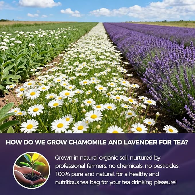 Natural Chamomile lavender tea 120g. 100% natural ingredients Chamomile lavender Herbal tea.for Relaxation & Bedtime.Additive-Free • Sugar-Free • Vegan.