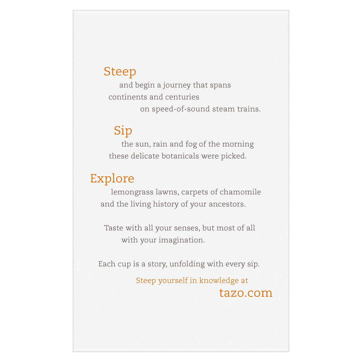 Tazo Chai Pumpkin Spice Tea 20 ct (pack of 1)