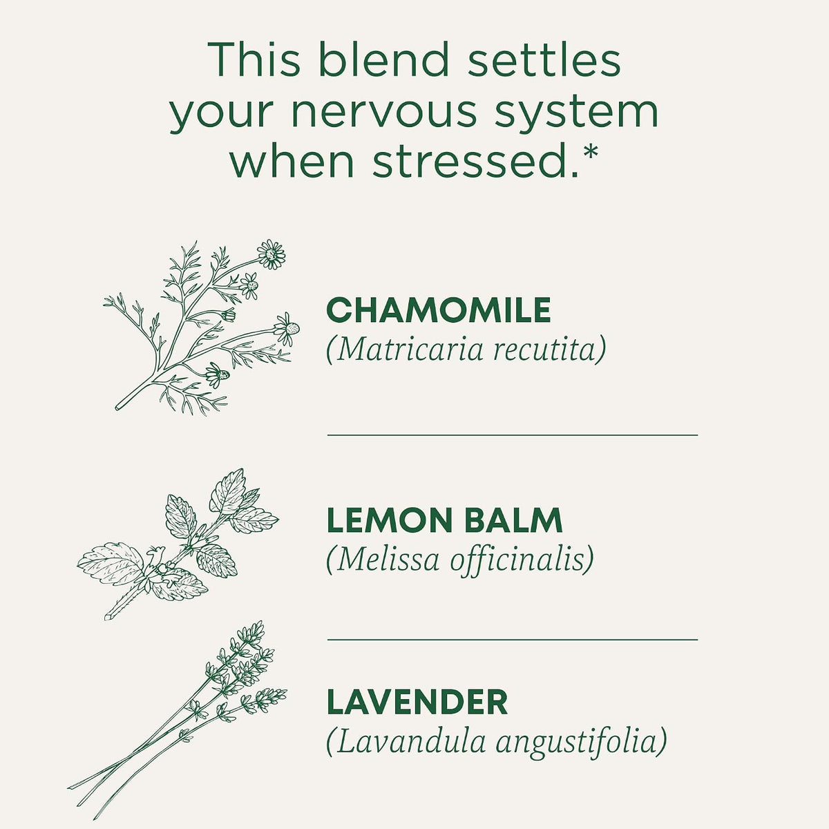 Traditional Medicinals Organic Chamomile with Lavender Herbal Tea, 16 Tea Bags (Pack of 1)