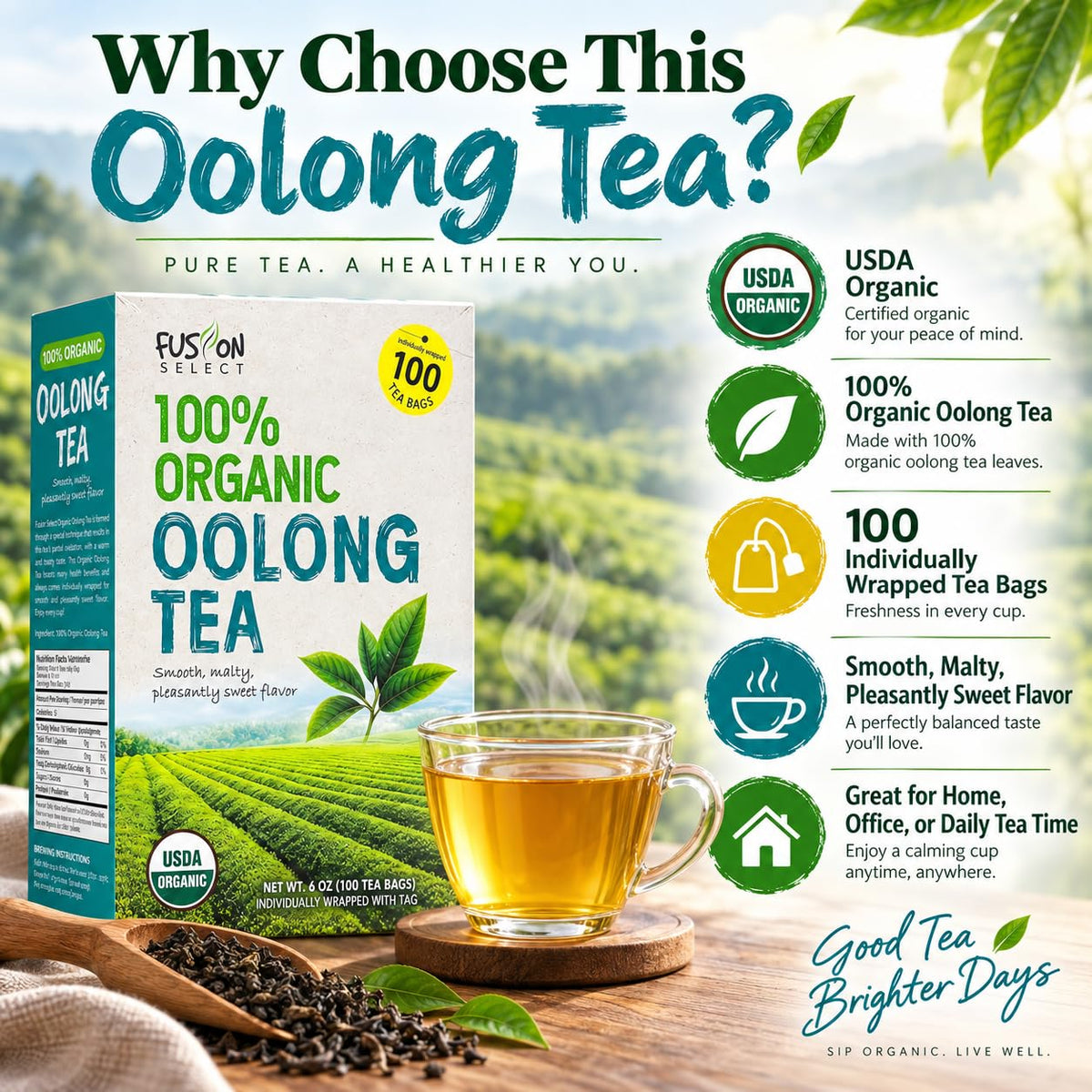 Fusion Select Organic Oolong Tea Bags, 100 Count Individually Wrapped