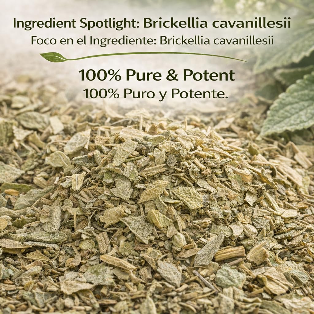 B-Experts Prodigiosa Herbal Tea – 4 oz (113g) – 100% Natural Mexican Herb – Wildcrafted Brickellia – Vegan, Non-GMO – Loose