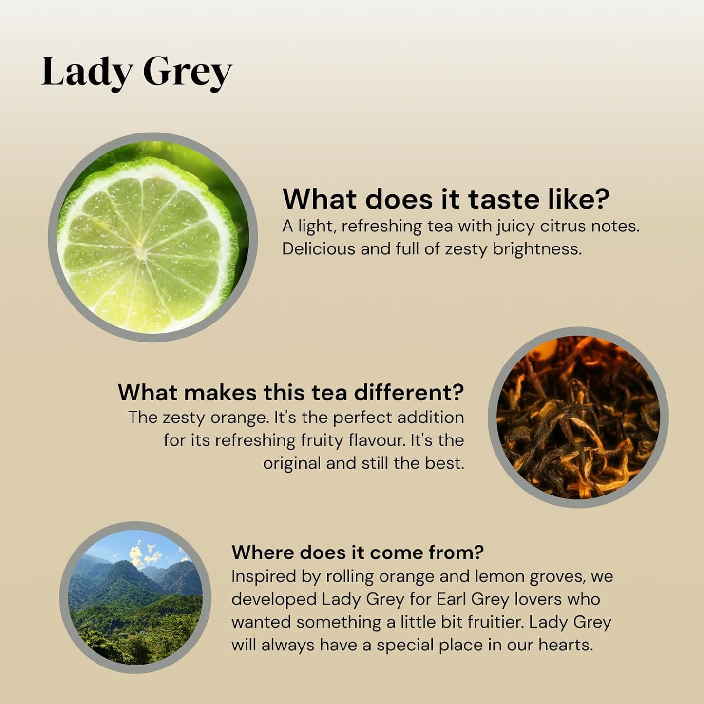 Twinings Lady Grey Tea | Bright & Refreshing Black Tea with Zesty Orange | 40 Biodegradable Tea Bags