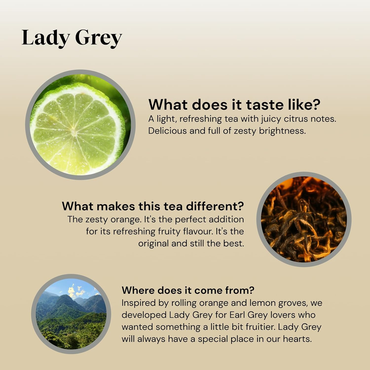 Twinings Lady Grey Tea | Bright & Refreshing Black Tea with Zesty Orange | 40 Biodegradable Tea Bags