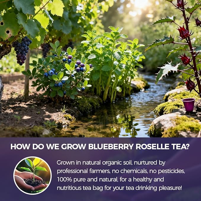 Natural Blueberry hibiscus tea 150g. 2.5gx60 teabags.100% natural ingredients Blueberry hibiscus Herbal tea bags.Additive-Free • Caffeine-Free •