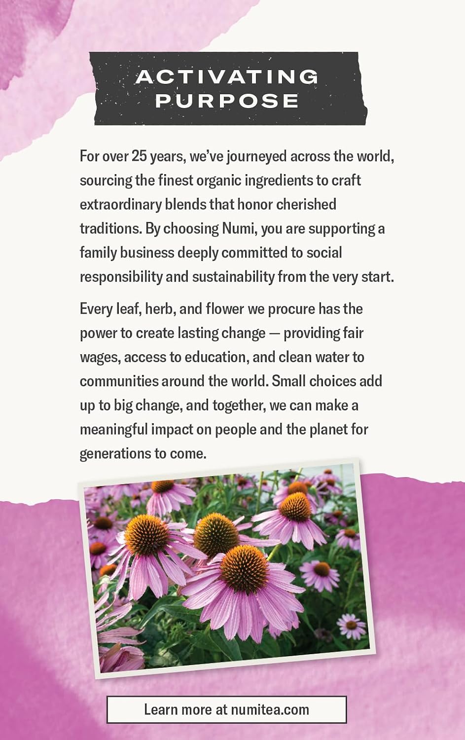 Numi Organic Immune Boost Tea