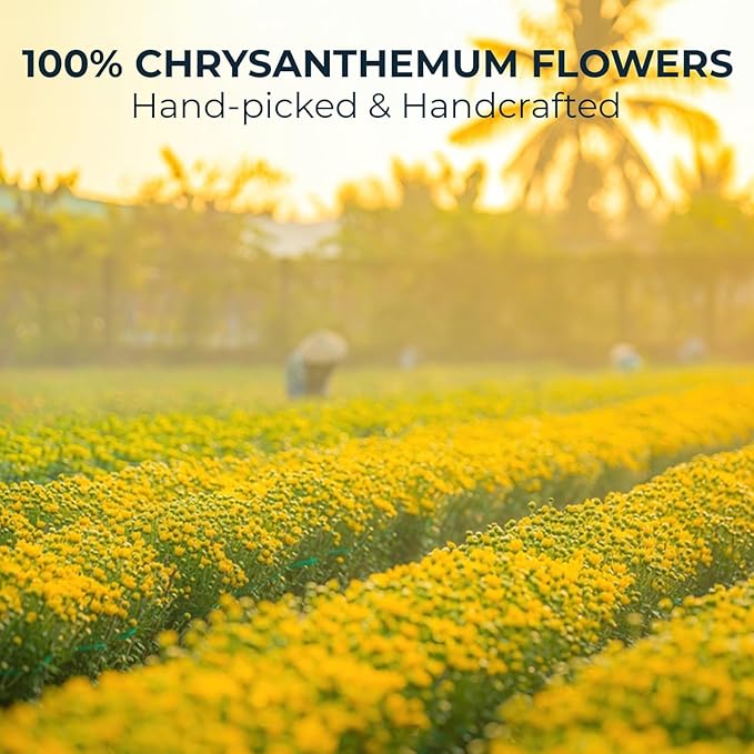 Injoy Your VITALGRI:N Vietnamese Chrysanthemum Tea - 55 Count (+5 Tea Bags) Bamboo Tong Included - 4.23 oz